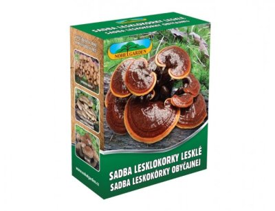 NG 8423ef Lesklokorka lesklá 250ml 45x92x113