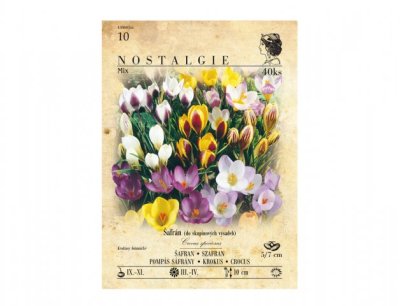 NG 438603xx Šafrán, krokus botanický směs 40ks 80x160x225