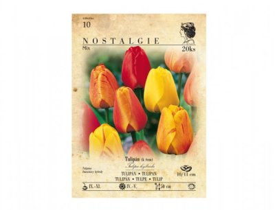 NG 438649xx Tulipán, Darwinovy hybridy, směs 20ks 0x160x225