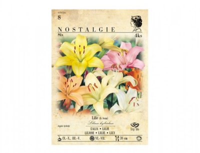 NG 437672xx Lilie, asijské hybridy, směs 4ks 70x160x225