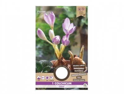 NG 404083fi Ocún THE GIANT 1ks 40x130x210