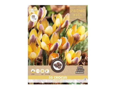 NG 438106xx Směs PROMO šafrán, krokus ADVANCE botanický směs 35ks 80x180x300