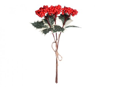 NG 31215bz Přízdoba CESMÍNA PODZIM listy + červené plody 25cm 90x110x260