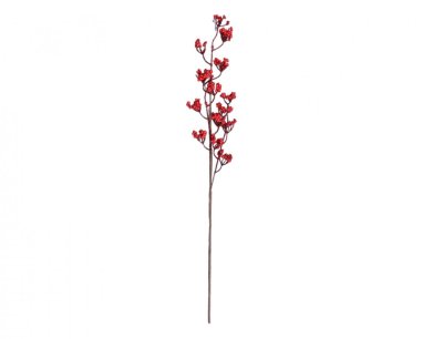 NG 31403čz Větvička JEŘABINY PODZIM červená 73cm 50x120x750