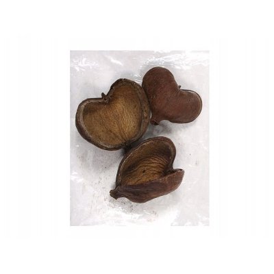 NG 34042 Dekorace sušiny BUDDHA PODS přírodní 3ks 240x170x75